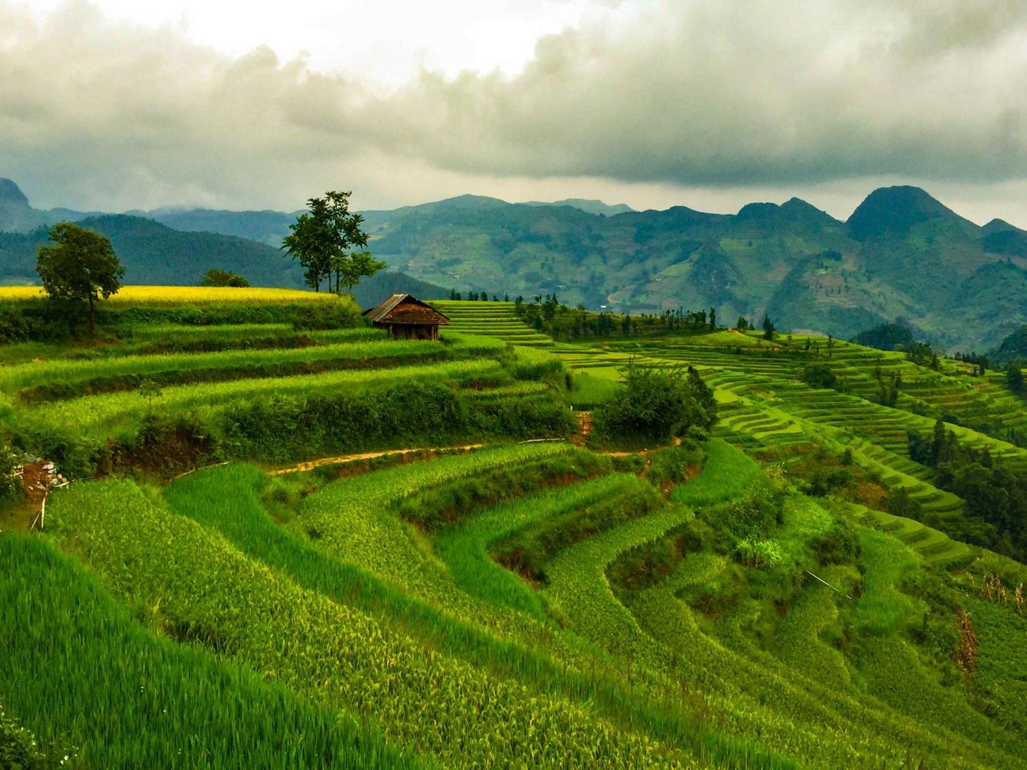 Cong Fu Hotel Bac Ha  Eksteriør billede